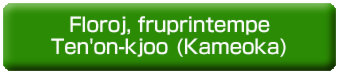 Floroj, fruprintempe, en Ten'on-kjoo (Kameoka).psd