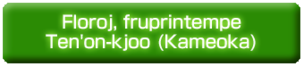 Floroj, fruprintempe, en Ten'on-kjoo (Kameoka).psd