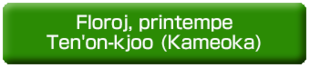Floroj, printempe, en Ten'on-kjoo (Kameoka).psd