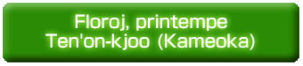 Floroj, printempe, en Ten'on-kjoo (Kameoka).psd