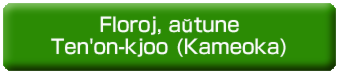 Floroj, aŭtune, en Ten'on-kjoo (Kameoka).psd