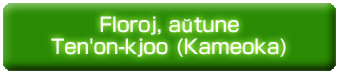 Floroj, aŭtune, en Ten'on-kjoo (Kameoka).psd