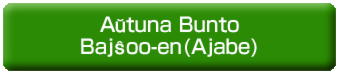 Aŭtuna Bunto Bajŝoo-en(Ajabe).psd