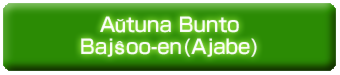 Aŭtuna Bunto Bajŝoo-en(Ajabe).psd